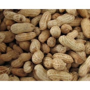Jordnötter med skal 10kg