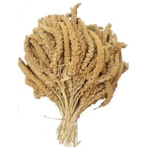 Franska hirskolvar, gul 25kg