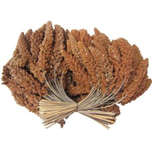 Franska hirskolvar, Röd 25kg