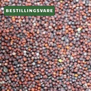 RYBS (Raps) 20 kg (B)