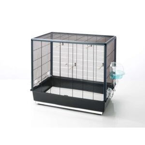 Fågelbur, Primo 40 - 80x50x70 cm (1)