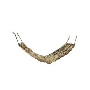 Bulrush hammock