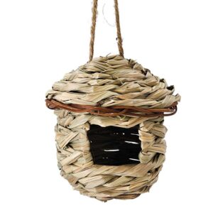 Bulrush bird nest