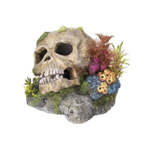 Aqua Ornaments SCULL- w/ plants