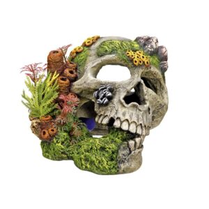 Aqua Ornaments SCULL