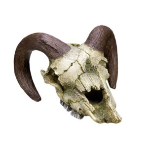 Aqua Ornaments RAM SKULL