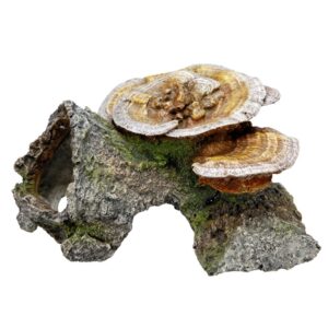 Aqua Ornaments WOOD CAVE WITH MUSHROOMS