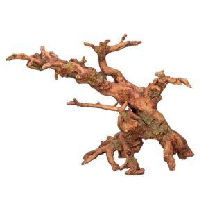 Aqua Ornaments Root