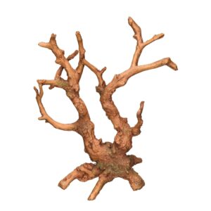 Aqua Ornaments Root