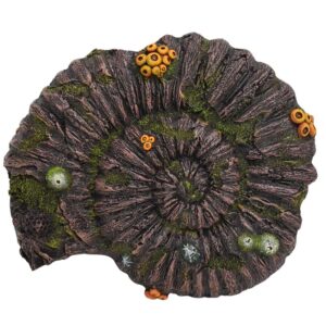 Aqua Ornaments AMMONITE FOSSIL