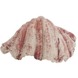 Aqua Ornaments SHELL