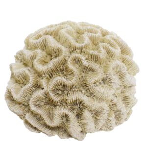 Aqua Ornaments CORAL