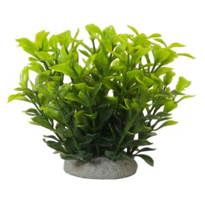 Aqua Ornaments "LUDWIGIA GREEN"
