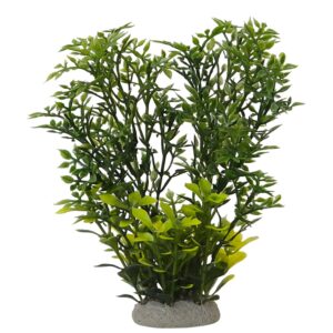 Aqua Ornaments "HELZINE GREEN"