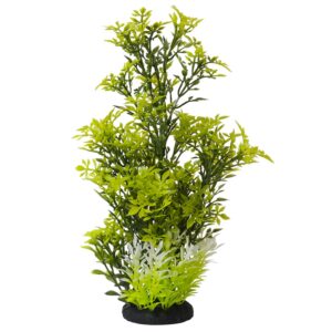 Aqua Ornaments "ROTALA"