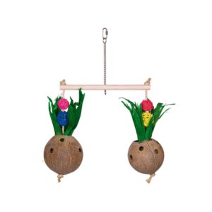 Coconuts with perch and corn leaves 50 x 40 cm