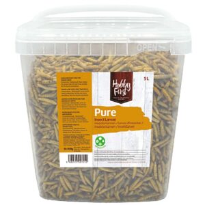 Hobby First Pure Insect Larvae, 650g