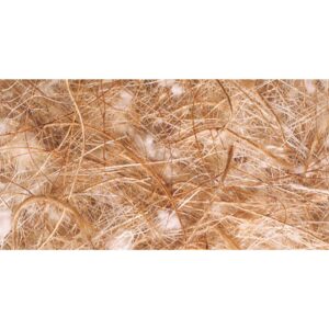 Cocos, sisal, jute, bomull 500 g (5)