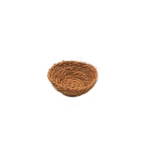 Nästinlägg kokos (100)