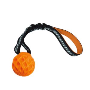 TPR Ball "Wafer" with elastic handle