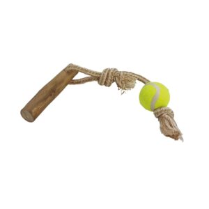 Coffee wood with rope and ball