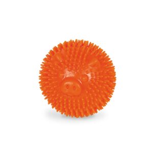 TPR spiky ball Pig