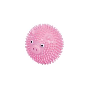 TPR Noppen Ball Pig