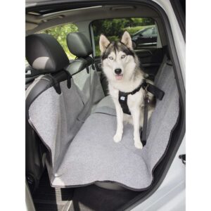 Car Seat protection