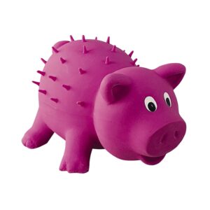 Latex pig