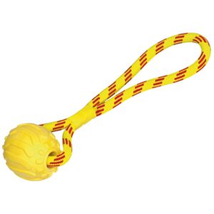 TPR foam ball with rope