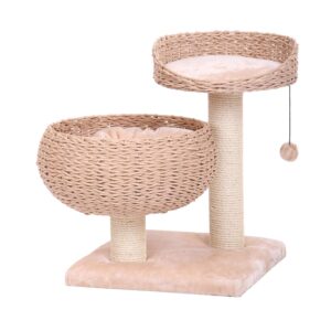 Cat-scratcher CASCA