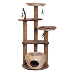 Cat-scratcher ESTACA