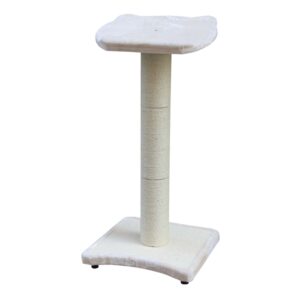 Catalogue Desk