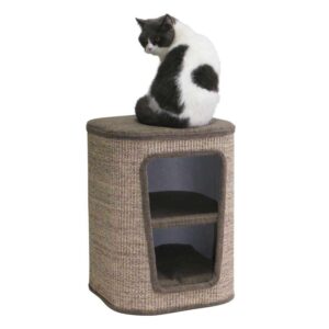 Cat scratch barrel CAPTA I