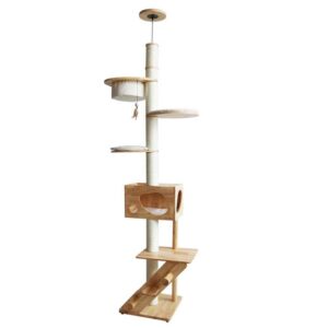 Cat-scratcher ALTAI