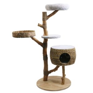 Cat-scratcher ARBO