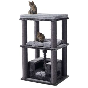 Cat-scratcher BRIDA