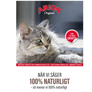 ARION Brochure Kat SE