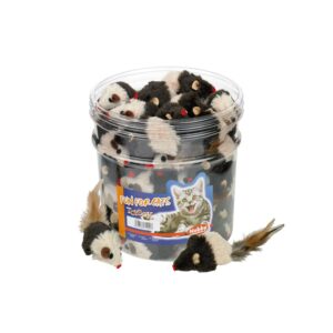 Toy box cat