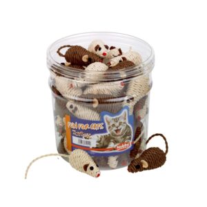 Toy box cat