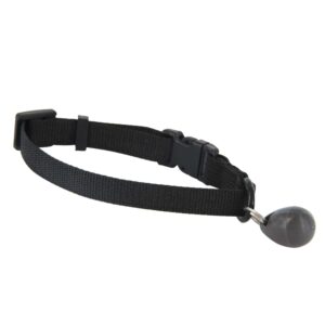 Petsafe nyckel till deluxe magnetic kattlem