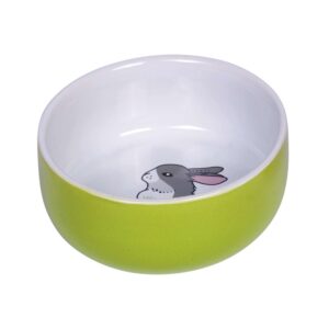 Rodent Ceramic bowl Rabbit