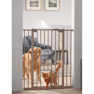 Door with additional cat door