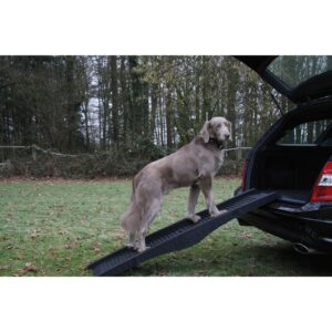 Bilramp Plast-Hopvikbar sort B x L: 40 x 152 cm (1