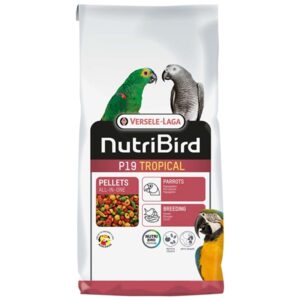 Nutribird P 19 Tropical  10kg  (1)