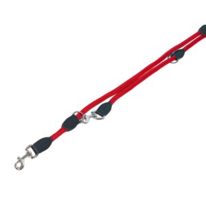 Training leash FUN ROYAL