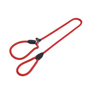 Retriever leash FUN ROYAL