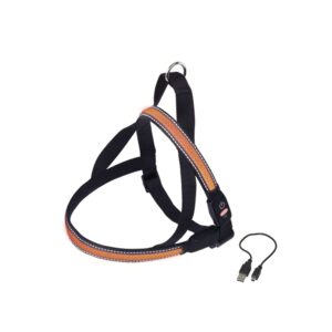 NORWEGIAN Harness FLASH MESH