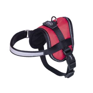 Harness Seguro Mini