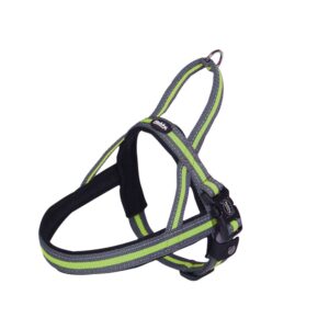 Norwegian Harness Variado